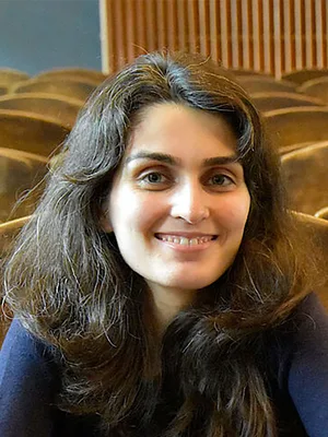 Setareh Maghsudi